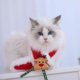 thumbnail image 5 of Lindo collar navideño de invierno para gato con capucha para celebraciones de Año Nuevo, 5 of 7