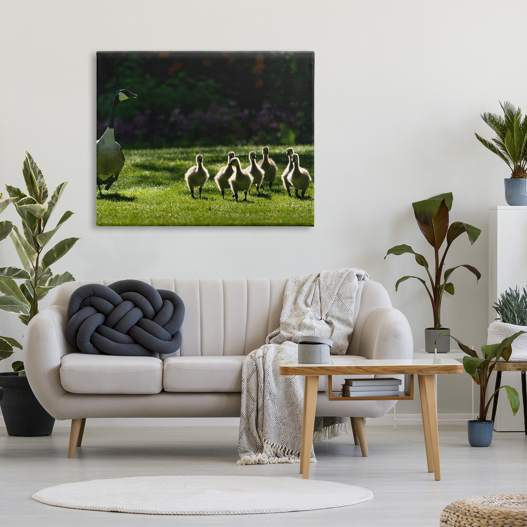 Stupell Industries Goose Family Photography Animals & Insects Photography Gallery Wrapped Canvas Print Wall Art, 48 x 36