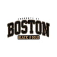 thumbnail image 2 of Comfortable 100% cottne Knit Fabric Men's Casual Crew Neck T-Shirt with Boston Print, Slight Stretch, Summer Short-Sleeve Top, Versatile & Easy Care - Regular Fit, 2 of 7