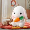 thumbnail image 4 of Cheinxy Bunny Stuffed Animal Ultra Soft Plush Easter Rabbit with Carrot for Girls and Boys Birthday Children's Day Gifts (8.6 Inch), 4 of 6