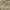 Ivory, variant on SAFAVIEH Chelsea Dania Floral Wool Area Rug, Ivory, 4' x 4' Round