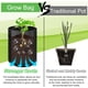 thumbnail image 4 of Paquete de 2 bolsas de cultivo de patatas de 7 galones, bolsas de cultivo de patatas con asas y solapa de acceso, bolsas de cultivo de plantas no tejidas gruesas para patatas, 4 of 5
