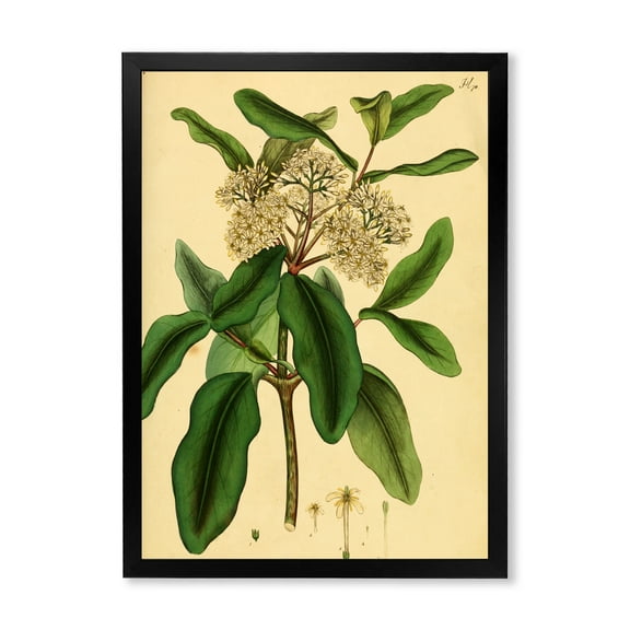 Designart 'Ancient Plant Life I' Traditional Framed Art Print
