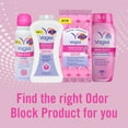 thumbnail image 6 of Vagisil Odor Block Daily Intimate Vaginal Wash, For 24 Hour Odor Protection, 12 Fluid Ounce Bottle (Pack of 3), 6 of 10
