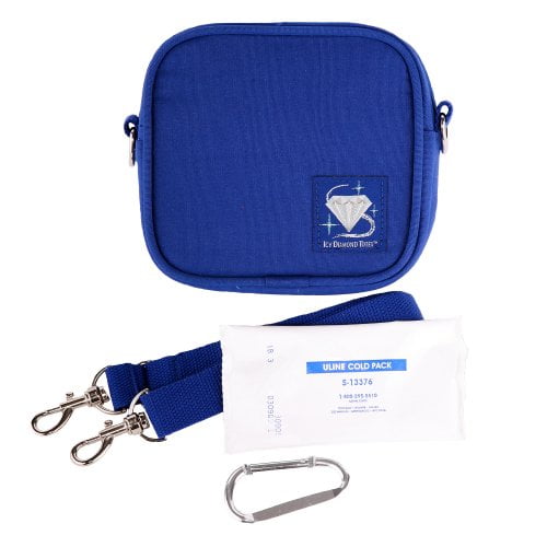 small insulated tote