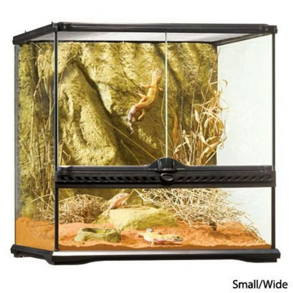 Exo Terra Glass Terrarium, 18 by 18 by 18-Inch