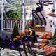 thumbnail image 5 of Arañas negras gigantes de Halloween 125CM realista para juguete adulto/Kit de broma/regalo divertido, 5 of 6
