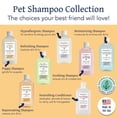 thumbnail image 5 of Bobbi Panter Rejuvenating Wash For Dogs, 14 oz., 5 of 5
