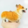 thumbnail image 6 of Shulemin Lifelike Corgi Dog Animal Model PVC Solid Figurine Desktop Ornament Kids Toy,Yellow, 6 of 8