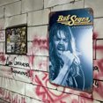thumbnail image 4 of Placa Metal Vintage Babushiger Pintura Hierro Rectangular Arte La Pared 20x30cm, 4 of 9