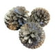 thumbnail image 1 of Set de decoración navideña con 6 piñas (naturales) chapadas, 1 of 5