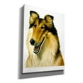 thumbnail image 2 of Epic Graffiti 'Smiling Colli' by Harro Maass, Canvas Wall Art, 26"x34", 2 of 8