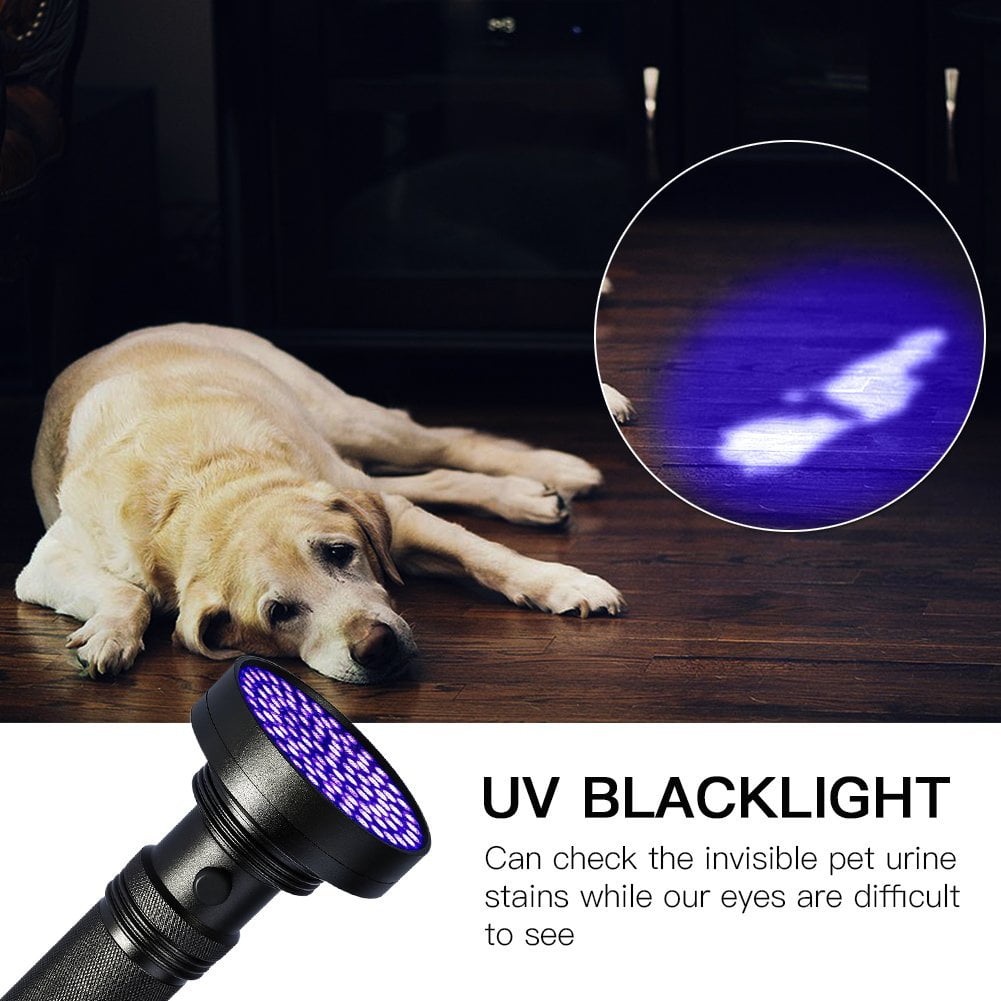 uv black light flashlight pet urine detector GLOSSDAY Light, 100 LED Black Flashlight for Dog/Cat Detector, Scorpions Finder and hidden dirt on carpets UV Flashlight Pet Stain Urine