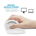 thumbnail image 3 of Macally Vertical Ergonomic Wireless Mouse with 2.4g RF Dongle, Comfortable 6 Button Ergo Upright Design (Reduce Wrist Strain), 800/1200/1600 DPI, White(RFERGOPALM), 3 of 7