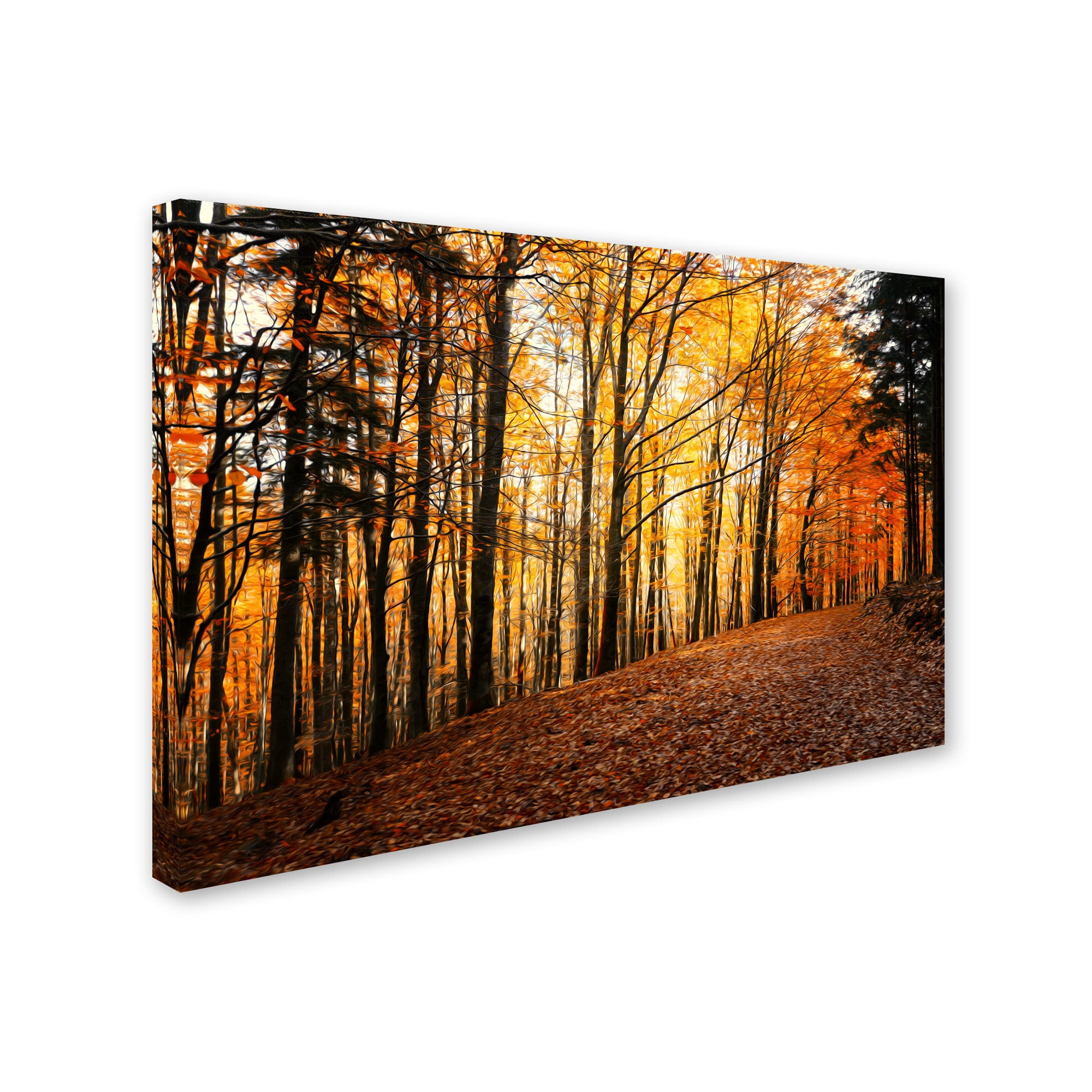 Trademark Fine Art "Autumn Leaves Pathway" Canvas Art by Philippe Sainte-Laudy