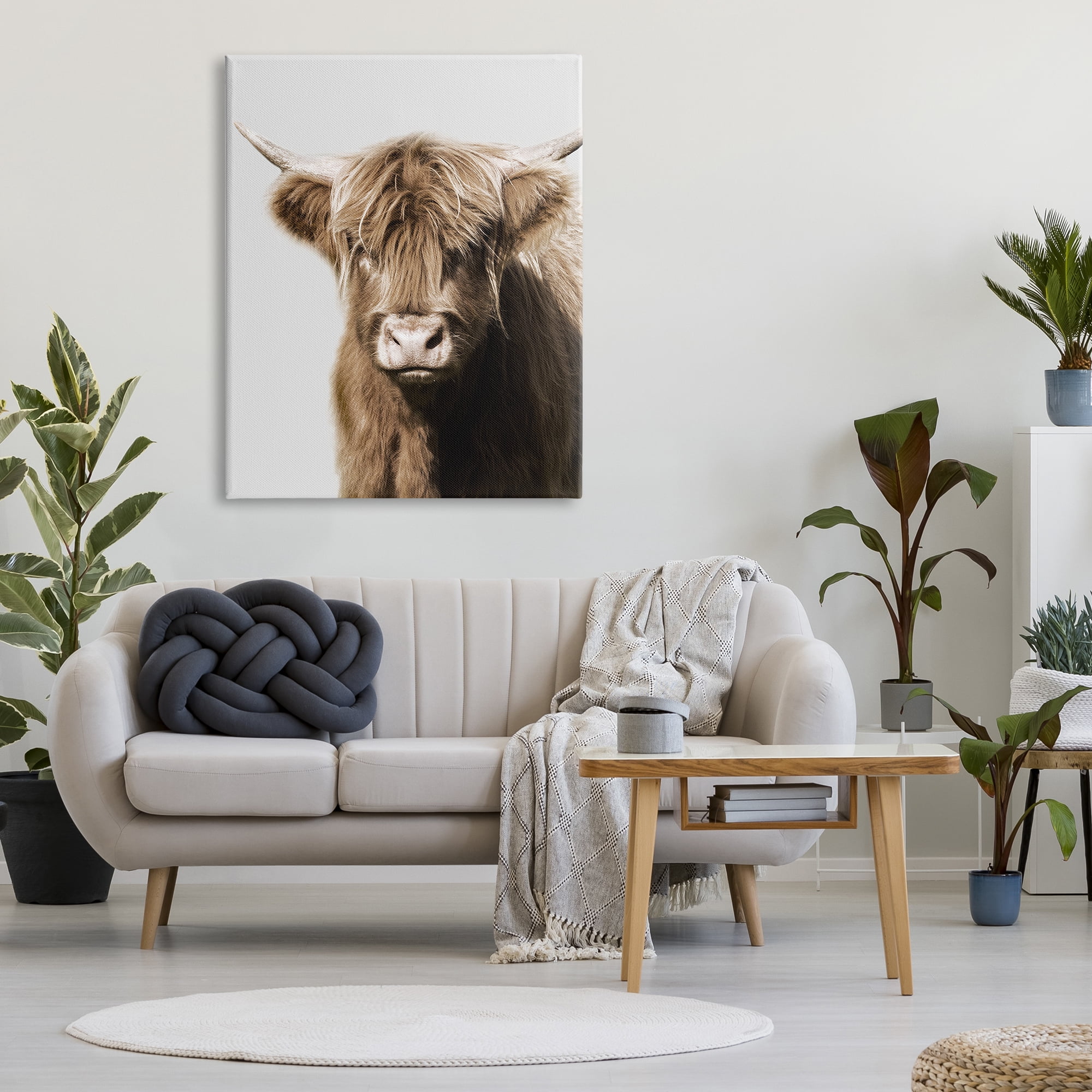 Stupell Industries Highland Cattle Close-Up Animals & Insects Photography Gallery Wrapped Canvas Art Print Wall Art, 36 x 48