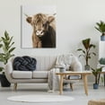 thumbnail image 3 of Stupell Industries Highland Cattle Close-Up Animals & Insects Photography Gallery Wrapped Canvas Art Print Wall Art, 36 x 48, 3 of 8