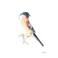 thumbnail image 2 of Harper, Ethan 12x14 White Modern Wood Framed Museum Art Print Titled - Watercolor Songbirds V, 2 of 4