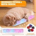 thumbnail image 4 of Enkarl Cat Toys 4 Pack Catnip Saury Fish Toys for Bored Indoor Cats Soft Plush Kitten Toy with Crinkle Sound Interactive Chew Cute Toys for All Breeds, 4 of 11