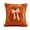 Orange, variant on LIORAGLJ Fall Pumpkin Throw Pillow Approx. 17.7 in Halloween Thanksgiving Decor