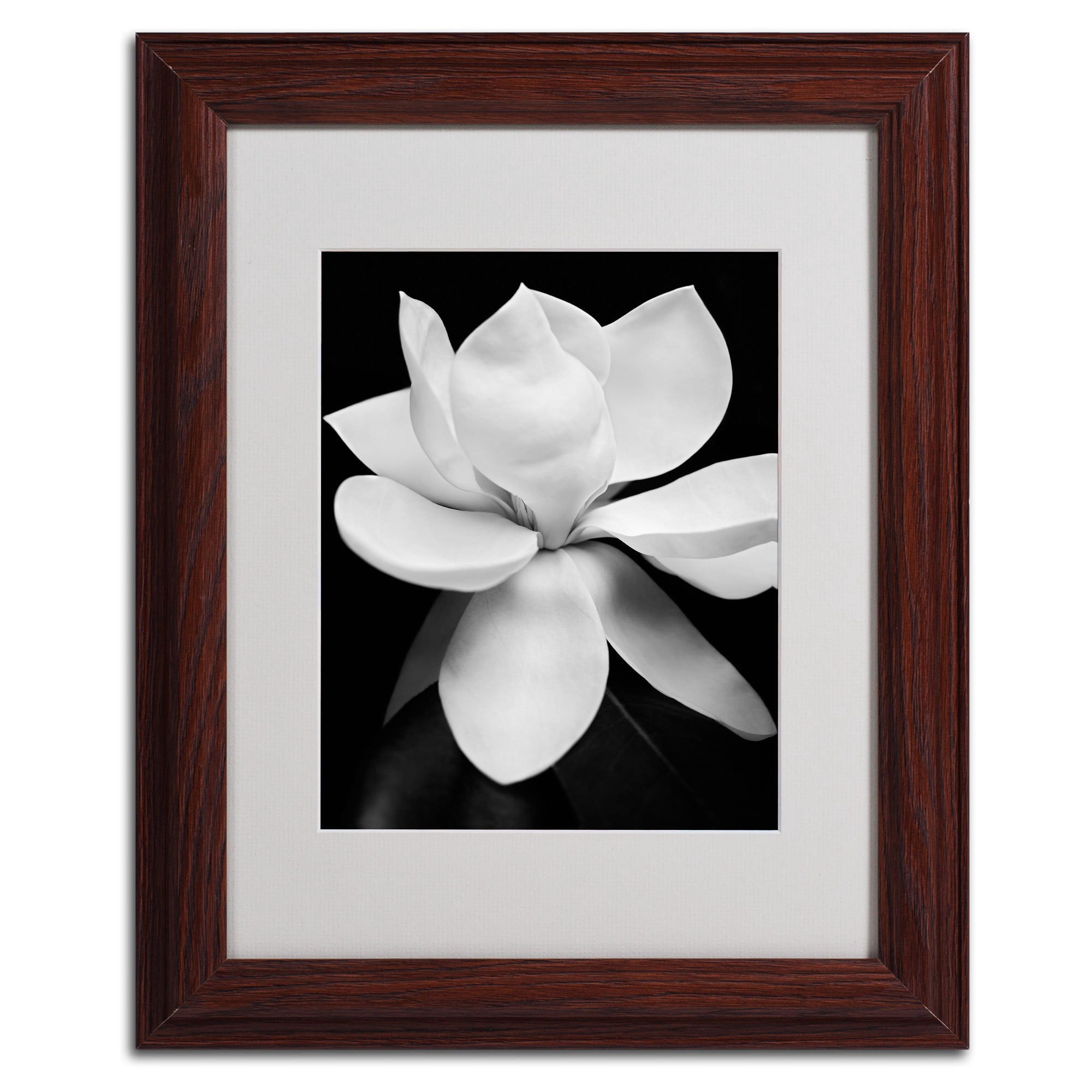 Matted art under acrylic in a black frame