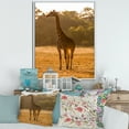 thumbnail image 2 of Designart 'African Giraffe In The Wildlife II' Farmhouse Framed Canvas Wall Art Print, 2 of 5