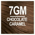 thumbnail image 2 of Naturtint 7GM Chocolate Caramel Permanent Hair Color, 6 Pack (Packaging May Vary), 2 of 7