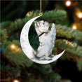 thumbnail image 1 of Wosthever Colgantes colgantes Acrílico Artesanía Decoración navideña Encantadores animales clásicos Llavero Colgante Hogar Ventanas Puertas Kits de decoración para fiestas Tipo12, 1 of 6