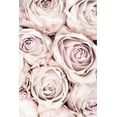 thumbnail image 2 of 1x Studio III 23x32 Black Ornate Wood Framed with Double Matting Museum Art Print Titled - Pink Roses No 01, 2 of 4