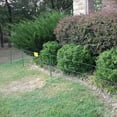 thumbnail image 2 of Patriot Warning Sign, 2 of 2