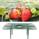 thumbnail image 3 of Estante De Cultivo De Fresas, Soporte Impermeable Para Plantar Fresas, Reutilizable Para Macetas De Interior, 3 of 7
