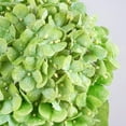 thumbnail image 3 of Waipfaru 4Pcs Hydrangea Artificial Flowers,20" Faux Hydrangea Flower with Stems,Full Latex Real Touch Hydrangea Flowers for Office Home Party Wedding Decor(Green), 3 of 7