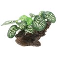 thumbnail image 3 of Artificial Plants For Terrarium Decor, Habitat Hideout Bearded Dragon Tank Decorations Fit Crested Gecko Leopard Lizard, 3 of 8