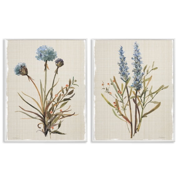 Stupell Industries Shabby Chic Natural Budding Blooms White 2pc Framed Giclee Art Set, 11 x 14 each, by Carol Robinson
