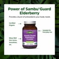thumbnail image 4 of Flora - SambuGuard Elderberry Crystals, Provides Antioxidants & Immune Support, Strengthen Immunity, Detox Body, Boost Energy, 1.7-oz. Powder, 4 of 7