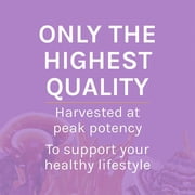 Host Defense Lions Mane Powder - 3.5 oz (66 Servings)