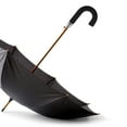thumbnail image 3 of Miangastore Poignée de Remplacement pour Parapluie Pièce de Réparation de Parapluie Poignée de Parapluie de Pluie Poignée en J de Parapluie Accessoire de Parapluie Pièce de Poignée de Remplacement de Parapluie de Pluie, 3 of 9