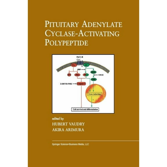 Endocrine Updates Pituitary Adenylate Cyclase-Activating Polypeptide, Book 20, (Paperback)
