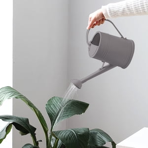 Czzoypi 2L Long Spout Watering Can, Indoor Watering Kettle for Succulents Flowers, Plastic Watering Can with Removable Nozzle for Home Gardening, Gray Czzoypi 2L Long Spout Watering Can, Indoor Watering Kettle for Succulents Flowers, Plastic Watering Can with Removable Nozzle for Home Gardening, Gray