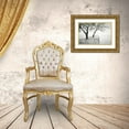 thumbnail image 3 of Curinga, Kim 18x13 Gold Ornate Wood Framed with Double Matting Museum Art Print Titled - Misty Dock, 3 of 4