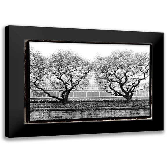 DeNardo, Laura 24x17 Black Modern Framed Museum Art Print Titled - Conservatory II