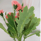 thumbnail image 5 of Xiao Hua flores artificiales de clavel, flores falsas, flores artificiales para decoración de bodas, 5 of 5