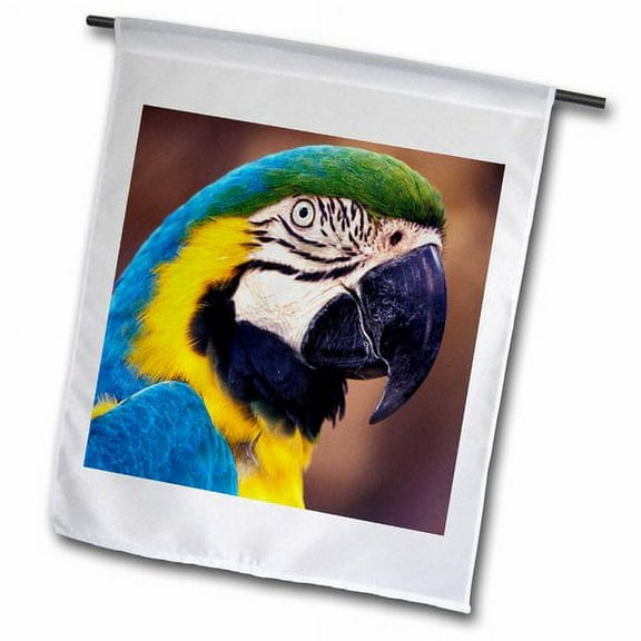 3dRose, USA, Florida. Macaw, parrot, tropical bird - NA02 DGU0006 - Darrell Gulin, 18 x 27 inch Garden Flag
