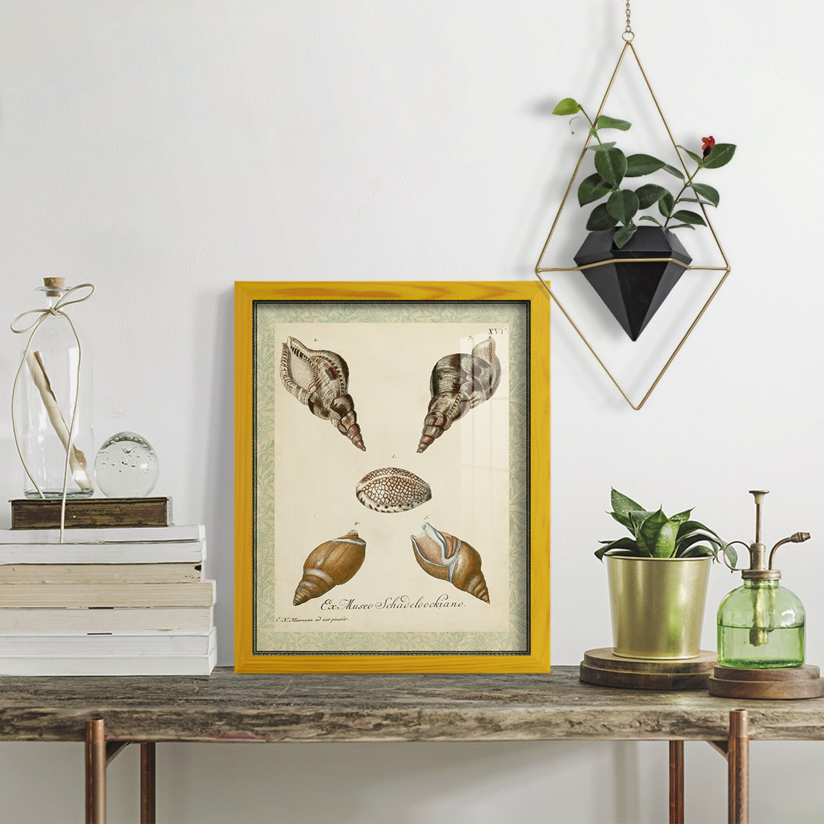 Bookplate Shells VIII - Framed Print w/glass - Sunflower Yellow