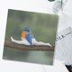 thumbnail image 1 of Calendario estético de pájaros precisos 2024 para programación de citas (L), 1 of 7