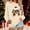 Khaki, variant on Women's Jingle Bell Print Christmas Sweatshirt Round Neck Hoodless Loose Fit Casual Holiday Wear