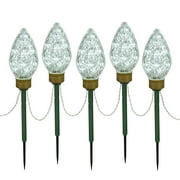 Vickerman 100(5 X 20Lt) Cool White C9 Faceted Bulb Lawn Stake Set, 10' Christmas Light Strand