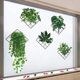 thumbnail image 5 of Pegatinas de pared Pegatinas decorativas de rejilla de plantas verdes, decoración de pared de hojas verdes, mural de arte de pared DIY para sala de estar, oficina, dormitorio, extraíble e impermeable Rojo Verde MX-0133517FYD, 5 of 5