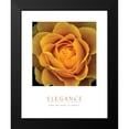 thumbnail image 2 of Unknown 12x14 Black Modern Framed Museum Art Print Titled - Elegance - Peach Rose, 2 of 5