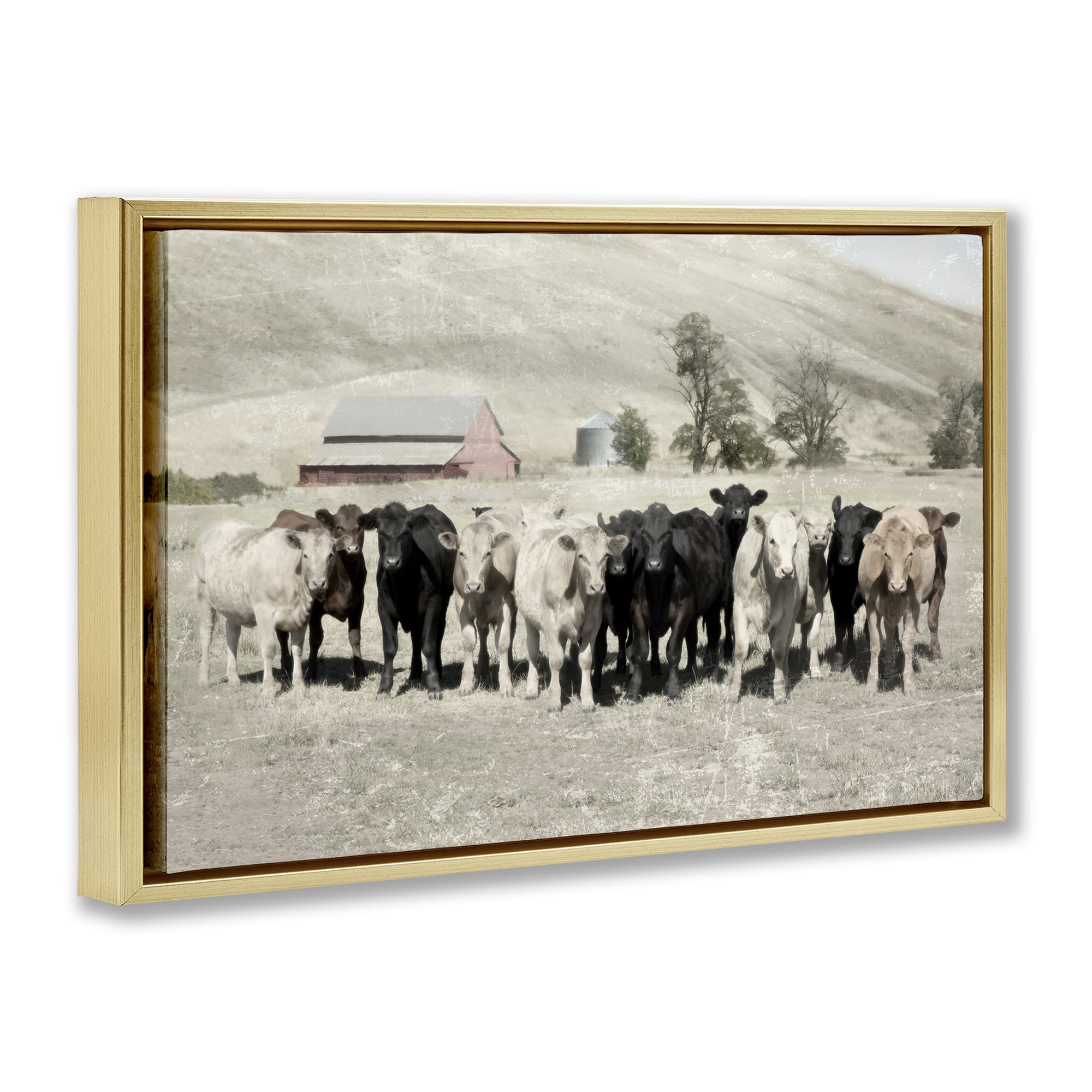 Stupell Industries Varied Cattle on Farm Landscape Painting Gold Floater Framed Canvas Art Print Wall Art, 25 x 17